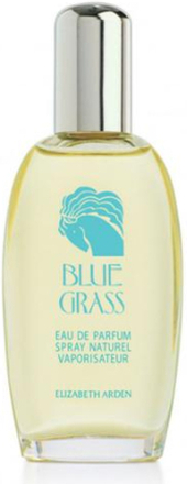 Elizabeth Arden Blue Grass Eau De Perfume Spray 100ml