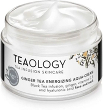 Fuktgivande ansiktskräm Teaology Ginger Tea (50 ml)