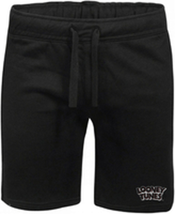Looney Tunes Logo Embroidered Unisex Jogger Shorts - Black - XL