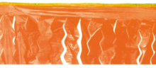 Orange Dekorkant/Bordskjørt 15x250 cm