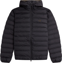 Fred Perry - Hooded Insulated Winterjas - Zwart