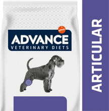 Advance Veterinary Diets Articular Care - Sparpaket: 2 x 15 kg
