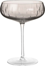 Champagne Coupe Single Cut Home Tableware Glass Champagne Glass Grey Louise Roe