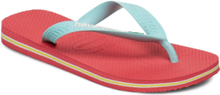 Hav Kids Brazil Logo Shoes Summer Shoes Sandals Multi/mønstret Havaianas*Betinget Tilbud