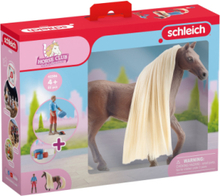 Schleich Sb Starter Set - Leo & Rocky Toys Playsets & Action Figures Animals Multi/patterned Schleich