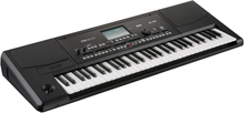 Korg PA-300 keyboard sort