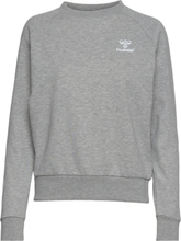 Hmlnoni 2.0 Sweatshirt Sport Sweatshirts & Hoodies Sweatshirts Grey Hummel