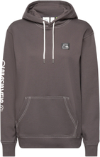The Original Hood Sport Sweatshirts & Hoodies Brown Quiksilver