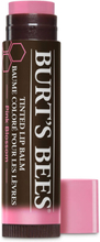 Burt's Bees Tinted Lip Balm - Pink Blossom 4 g
