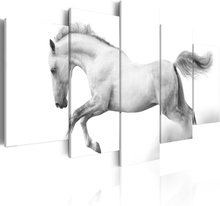 Canvas Tavla - Horse- passion and freedom - 100x50