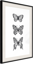 Inramad Poster / Tavla - Butterfly Collection III - 20x30 Svart ram med passepartout