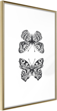 Inramad Poster / Tavla - Butterfly Collection I - 20x30 Guldram
