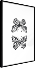 Inramad Poster / Tavla - Butterfly Collection I - 20x30 Svart ram