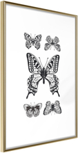 Inramad Poster / Tavla - Butterfly Collection IV - 20x30 Guldram