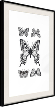 Inramad Poster / Tavla - Butterfly Collection IV - 20x30 Svart ram med passepartout