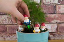 Plant Pot Gnomes