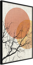 Inramad Poster / Tavla - Gloomy Tree - 20x30 Svart ram