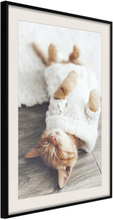 Inramad Poster / Tavla - Kitten Life - 20x30 Svart ram med passepartout