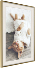Inramad Poster / Tavla - Kitten Life - 20x30 Guldram med passepartout