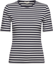 Slim Striped 1X1 Ribbed Ss T-Shirt Tops T-shirts & Tops Short-sleeved Blue GANT