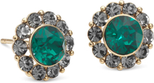 Lily and Rose Miss Sofia earrings Emerald / Black diamond