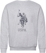 Uspa Sweat O Neck Frejlev Men Sweat-shirt Genser Grå U.S. Polo Assn.*Betinget Tilbud