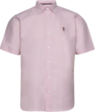 Uspa Shirt Ss Bennett Men Tops Shirts Short-sleeved Pink U.S. Polo Assn.
