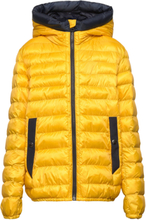 Sundance Hoodie Jacket Foret Jakke Yellow WOOLRICH