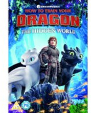 How to Train Your Dragon - The Hidden World