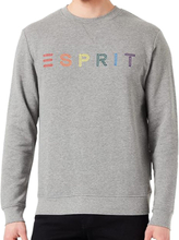 ESPRIT Herren Pullover im Heather-Look Sweatshirt mit bunter Marken-Stickerei 43509615 Grau