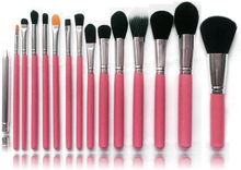 15 st. Rosa / Silver Make-up / sminkborstar av bästa kvalité