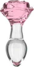 Rosy Luxurious Glass Anal Plug with Bonus Bullet