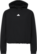 W C Esc Q1 Hd Sport Sweatshirts & Hoodies Hoodies Black Adidas Sportswear
