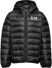 Down Jackets Sport Jackets & Coats Puffer & Padded Black EA7