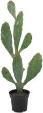 Konstväxt - Verde Kaktus 92 cm