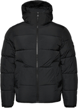 Crinkle Nylon Puffer Jacket Foret Jakke Black Calvin Klein