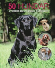 50 hundar : Sveriges populäraste hundraser