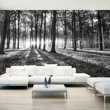 Selvklæbende fototapet - Grey Wilderness II 490 x 280 cm