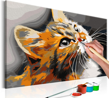 DIY lærred maleri - Red Cat 60 x 40 cm