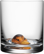 New Friends Tumbler Duck 46Cl Home Tableware Glass Whiskey & Cognac Glass Nude Kosta Boda*Betinget Tilbud