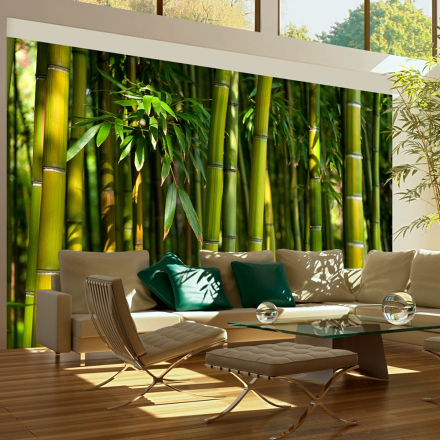 Fototapet - Asiatisk bambus skov 450 x 270 cm