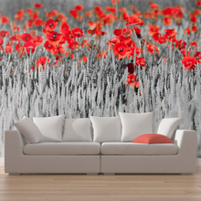 Fototapet - Røde valmuer på sort og hvid baggrund 450 x 270 cm