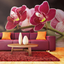 Fototapet - Smukke orkidé blomster på vandet 450 x 270 cm