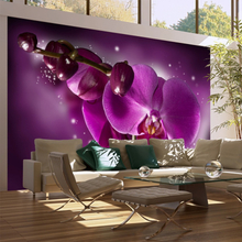 Fototapet - Fairy tale and orchid 450 x 270 cm