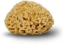 Cocoon Company Honeycomb svamp - 12 cm.