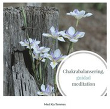 Chakrabalansering, en guidad meditation