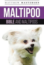 Maltipoo Bible And Maltipoos