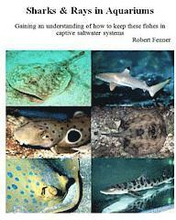 Sharks & Rays in Aquariums: Gaining an understanding of how to keep these fishes in captive saltwater systems