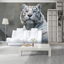 Fototapet - Bengali tiger i zoo - 200 x 154 cm