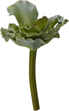 "Flora Succulent 13 Cm. Home Decoration Paper Flowers Green Lene Bjerre"
